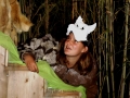 ComedieJungle (32)