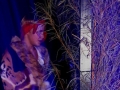 ComedieJungle (62)